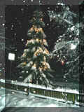 IMG05.JPG (36487 Byte)