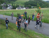 Pingstluemmel_2009a.jpg (193253 Byte)