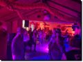 karneval_2025___142_.jpg