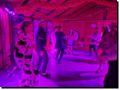 karneval_2025___153_.jpg