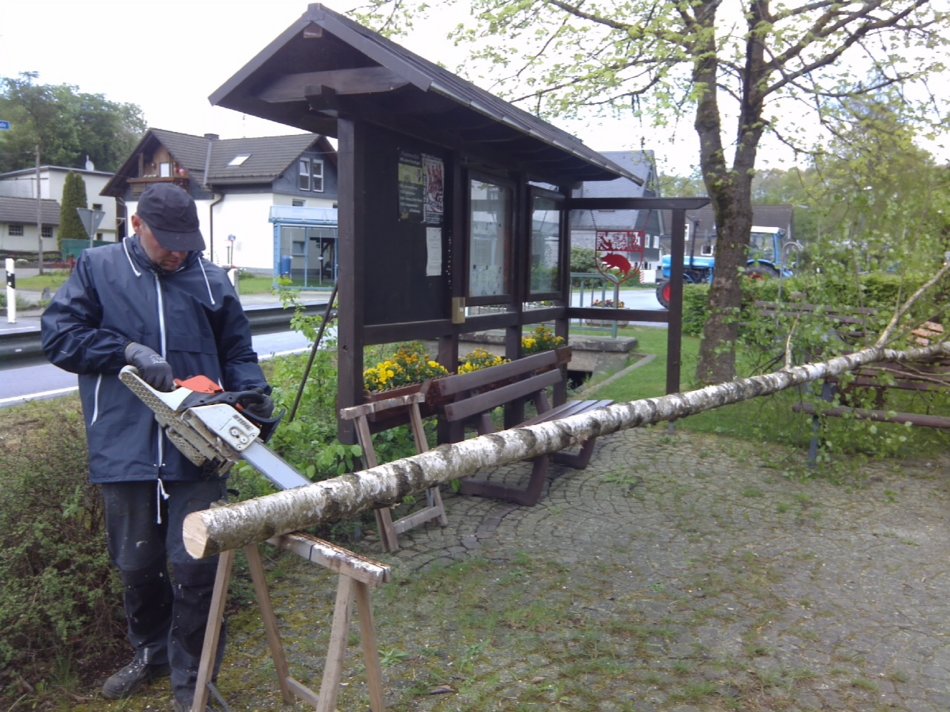 maibaumaufstellen_05.jpg