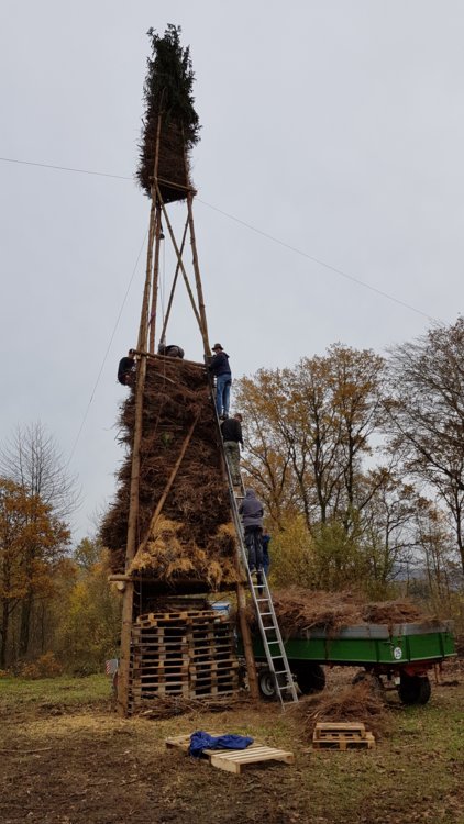 martinsfeuer_2019__19_.jpg