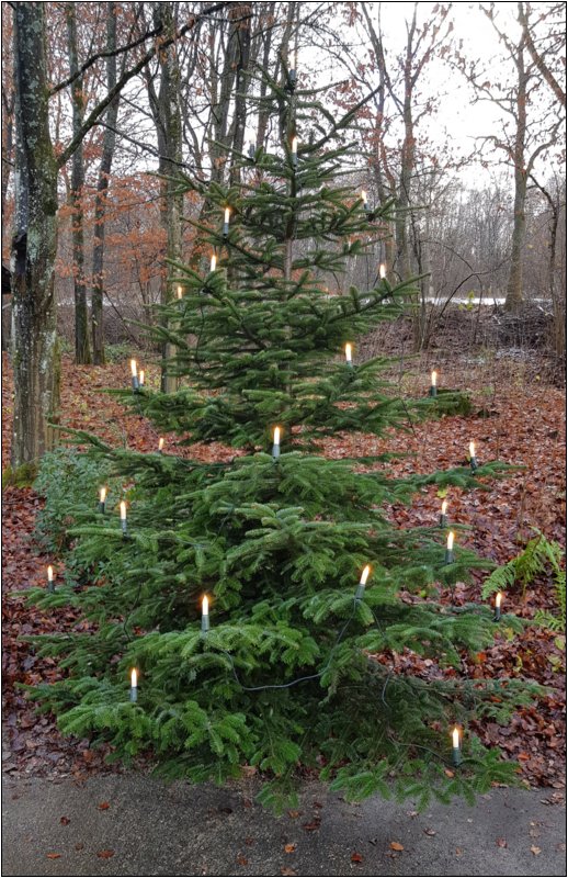 weihnachten_in_oelgershausen_2021___10_.jpg