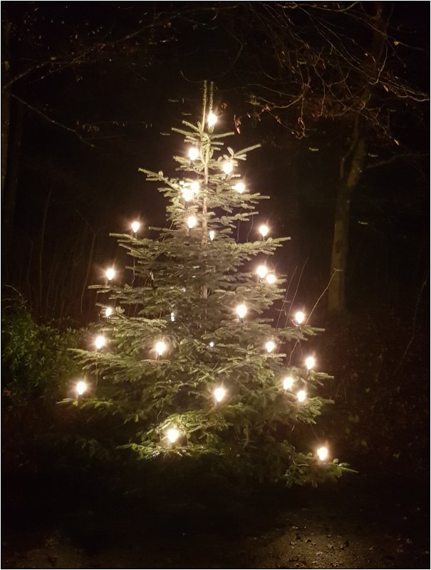 weihnachten_in_oelgershausen_2021___13_.jpg