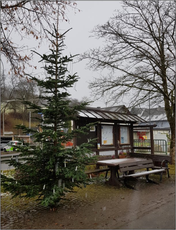 weihnachten_in_oelgershausen_2021___6_.jpg