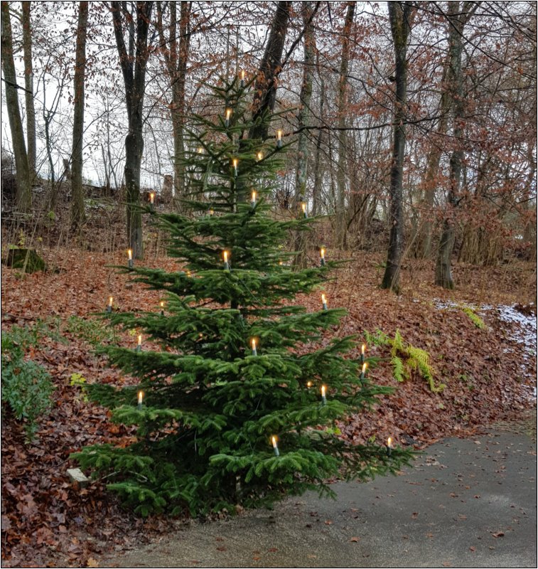 weihnachten_in_oelgershausen_2021___8_.jpg