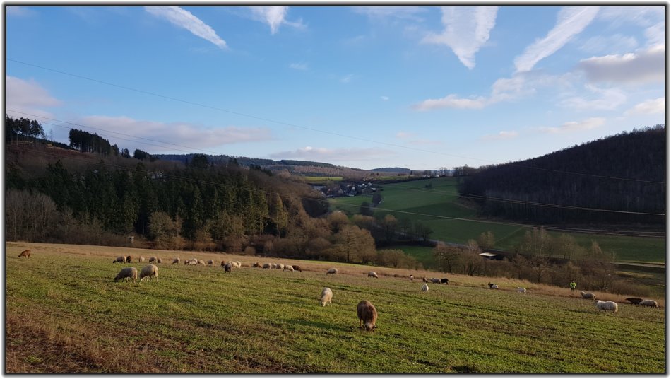 winterwanderung_2019__35_.jpg