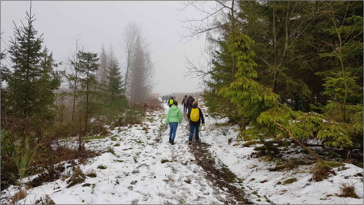 winterwanderung_2021___29_.jpg