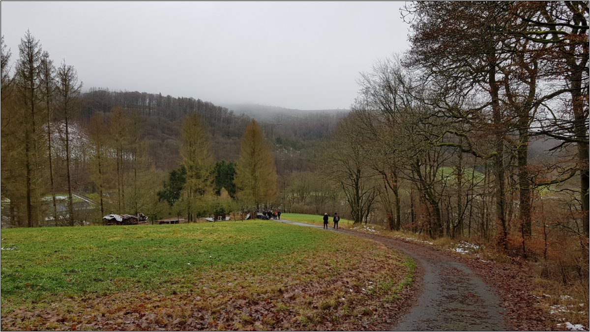 winterwanderung_2021___41_.jpg