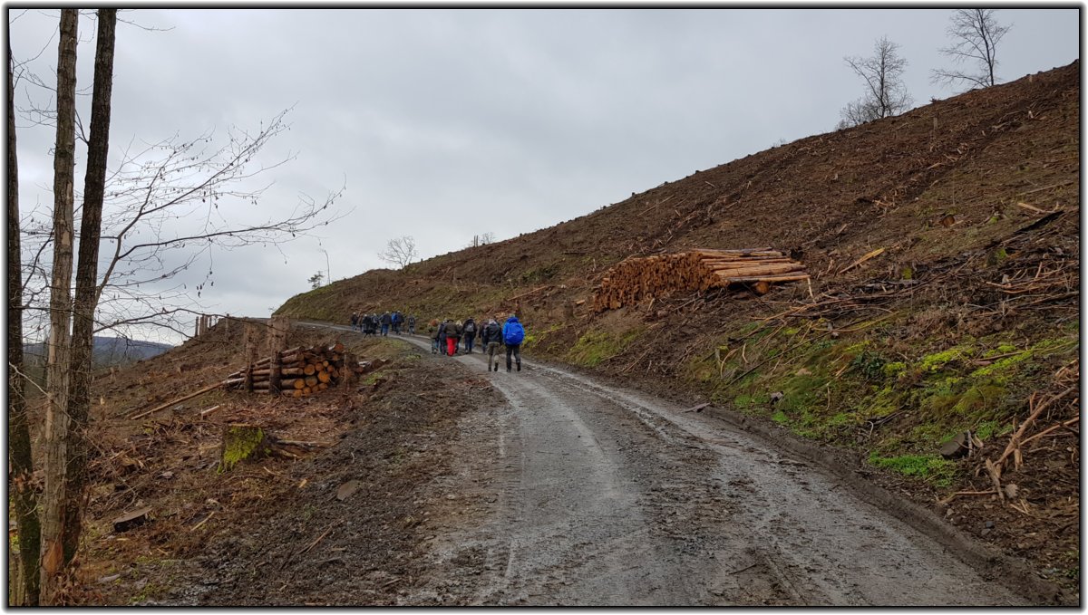 winterwanderung_2022___32_.jpg